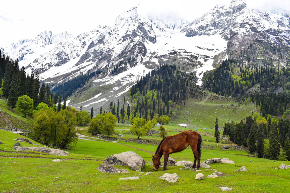 Kashmir destinations